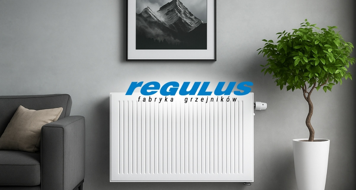 SOLLARIUS E-VENT czy SOLLARIUS REVERS? Wybierz grzejnik do zadań specjalnych