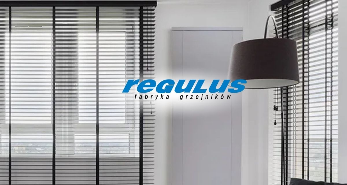 DECOR PRO czy DECOR VENT? Wybierz grzejnik pionowy o optymalnej mocy i dynamice